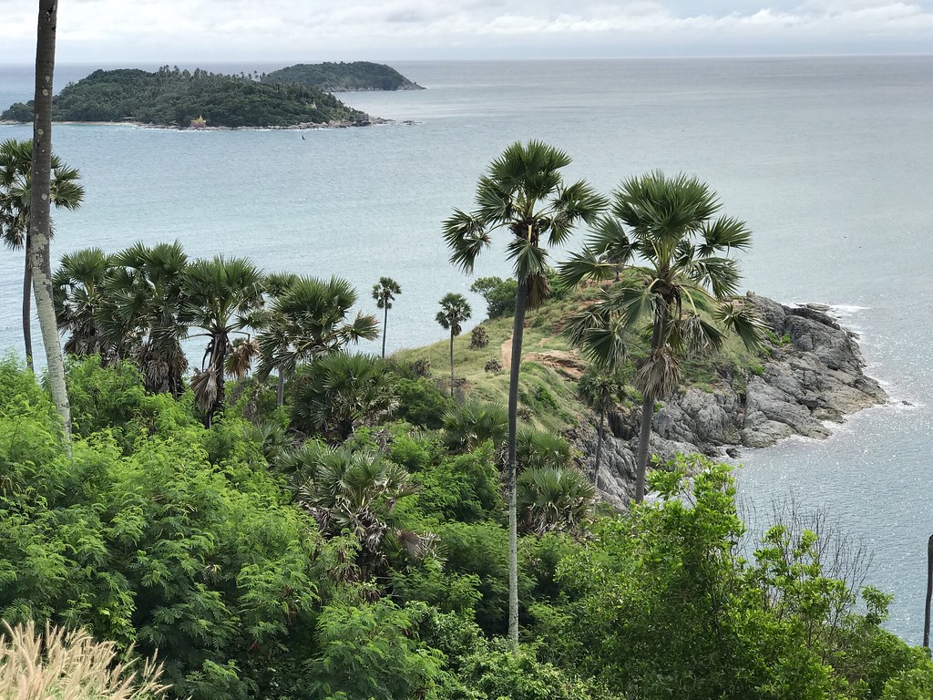 Palm trees at Promthep Cape, Phuket's most famous sunset viewpoint