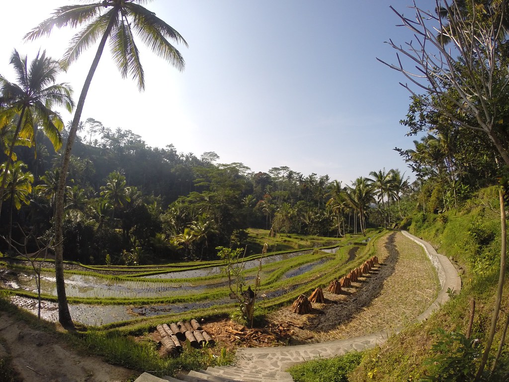Phuket vs Bali: Which to Choose?
